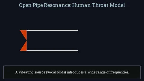 Open pipe resonance - human throat model Stockbeeldmateriaal 336118879