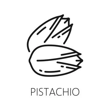 Open pistachio nut in hard shell outline icon Stock Illustration