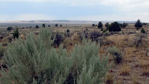 Open plain Sagebrush Steens Mountain Near Malhuer Wildlife Refuge Stock Footage 81827633