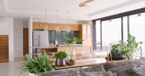 Open-plan living room and kitchen showing gray sofa, wooden table, potted plants Stock Footage 336484319