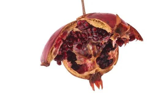 Open pomegranate on the white background Stock Photos