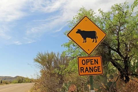Open Range Cattle Crossing Warning in Arizona Stock Photos