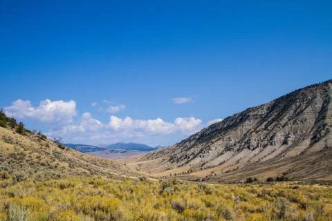 Open Range Stock Photos