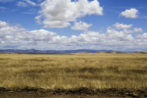 Open Range. Stock Photos