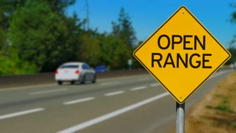 Open Range Sign, Yellow Diamond Traffic Signage, Outdoor Practice Aiming Shoot Video stock 293513013