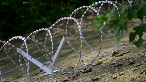 Open Razor Wire Loops with Leaves in Foreground, Stable Shot Stock-Footage 344120194