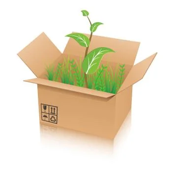 Open Recycle Shipping Box with Green Plant Stock Illustration