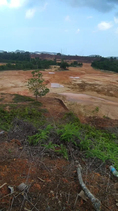 Open Red Soil Land with Puddles - Rural Landscape Vertical B-Roll Stock Footage 336654010