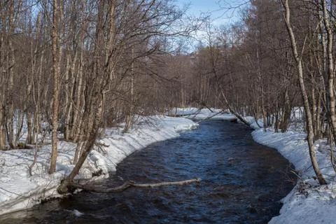Open river during late winter with snow in forest Fotos Stock