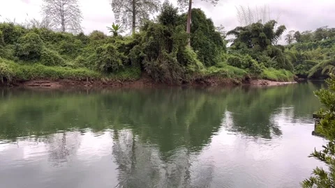 Open to river Stock Footage 323242504