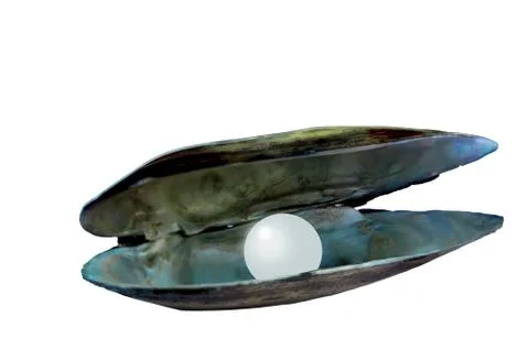 Open river mother-of-pearl shell with pearls inside Foto stock