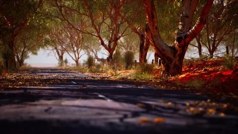 Open road in Australia with bush trees Stock Illustration