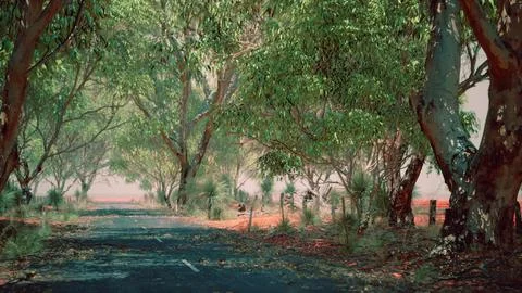 Open road in Australia with bush trees Stock Illustration
