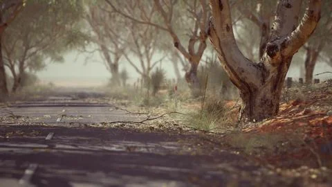 Open road in Australia with bush trees Stock Illustration