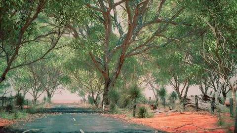 Open road in Australia with bush trees Stock Illustration