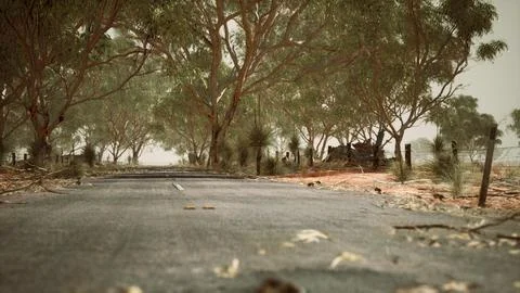 Open road in Australia with bush trees Stock Illustration