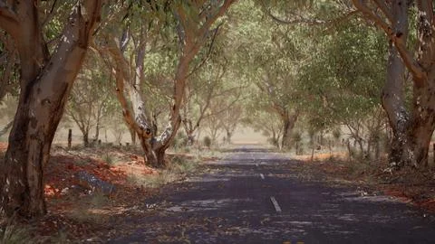 Open road in Australia with bush trees Stock Illustration