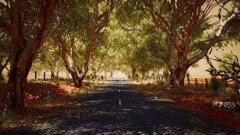 Open road in Australia with bush trees Stock Illustration