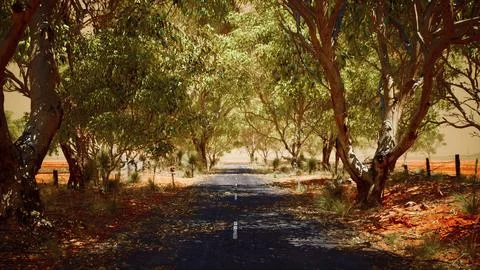 Open road in Australia with bush trees Stock Illustration
