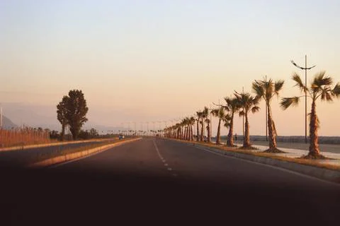 Open road with palms Stock-Fotos