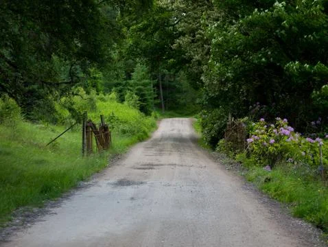 Open road Stock Photos