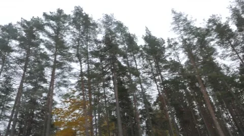 Open Road, Rainy day Видео 57259760