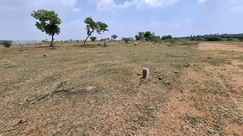 Open Rural Landscape and Fields in South India Countryside Stockfoto's