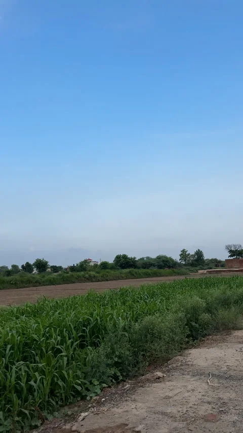 Open Rural Landscape at Dusk 스톡 동영상 337173269