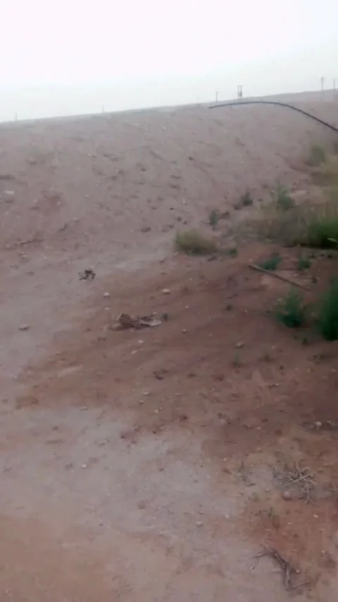 An open rural landscape featuring a sloping dirt hill and sparse Video stock 344786699