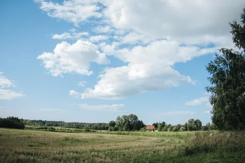 An open rural meadow with distant trees and. Stock Photos