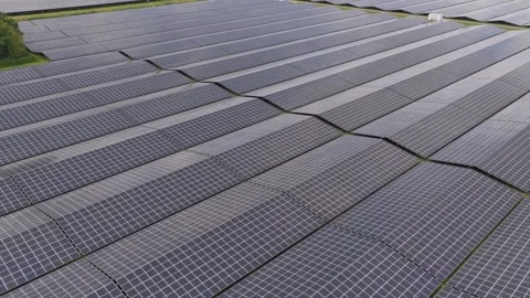 Open rural plain covered by solar panels, utility generation, Netherlands Stock Footage 315850679