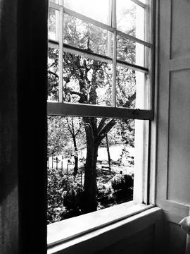An open sash window looking out onto a lovely park in the summer, monochrome Stock Photos