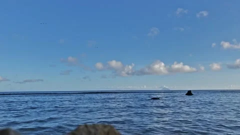 Open Sea Timelapse Stock Footage 197524453