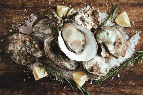 Open shell oyster with lemon and salt on a wooden board Stock Photos