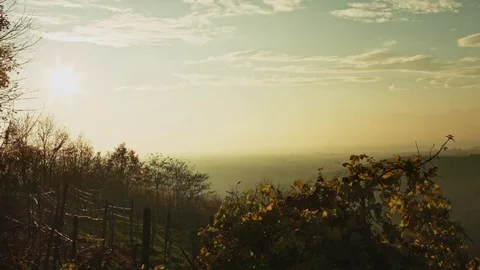 Open shot dolly of bright sunset Stock Footage 71211249