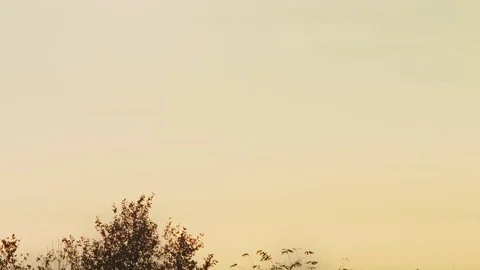 Open shot tilt sunset Stock Footage 71209032