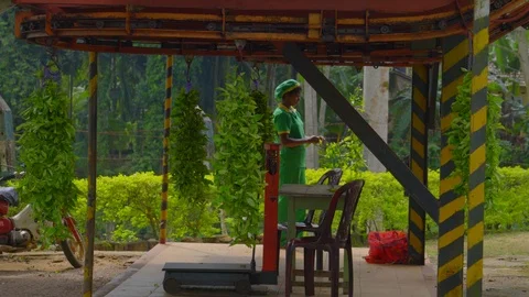 Open shot view of female worker picking tea leaves in Sri Lanka Stock-Footage 107213005