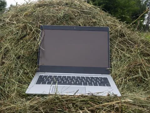 An open silver laptop is lying on a haystack. Close-up, modern technologies i Stock Photos