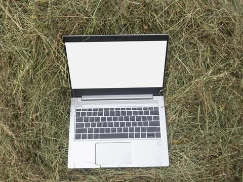 An open silver laptop is lying on a haystack. Close-up, modern technologies i Stock Photos