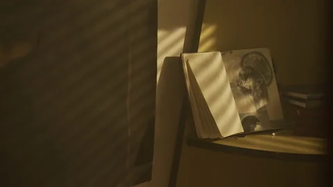 Open sketchbook on a shelf Stock Footage 215071976