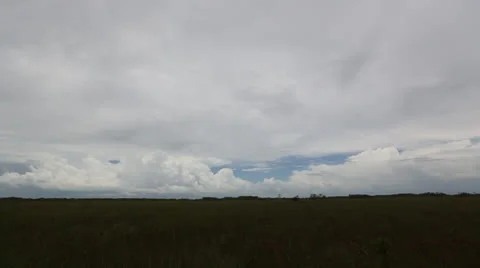 Open Sky Over Vast Everglades Grassland Stock Footage 26740229