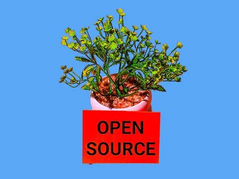 Open source concept with artificial trees and words Stock Photos