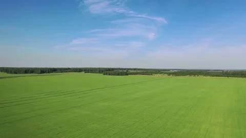 Open spaces in summer, agricultural fields from above, flight Stock Footage 128284516