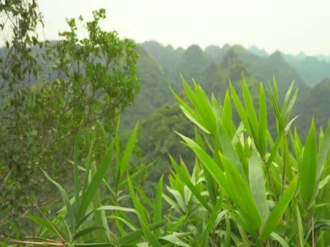 Open spaces in Vietnam. Green open spaces of Vietnam. The Green Mountains. The Stock Footage 84887756