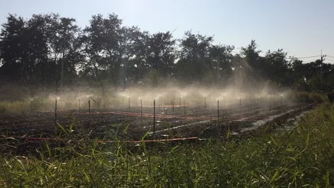 Open spring watering in the garden Stock Footage 88724680