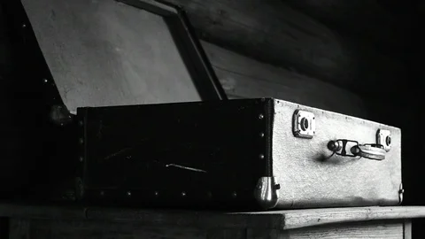 Open suitcase, black and white Stock Footage 110844363