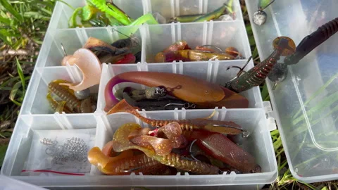 Open Tackle Box with Soft Lures on River Bank — Reveal of Spring Shoreline Video stock 341785618