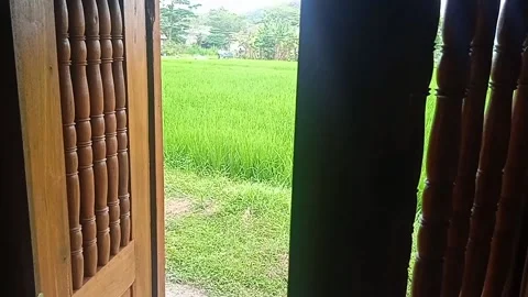 Open traditional door Stock Footage 205920015