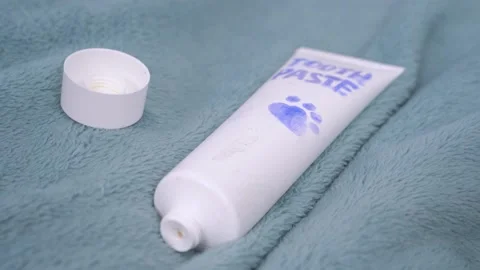 Open tube of toothpaste with painted paw for pets lies with lid on warm blank Stock Footage 134607115