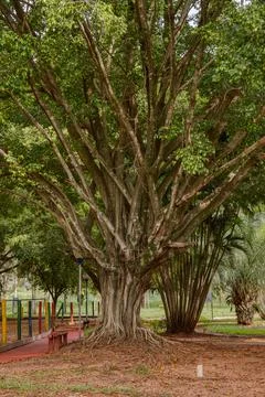 Open walking area square Elza Vendrame Stock Photos